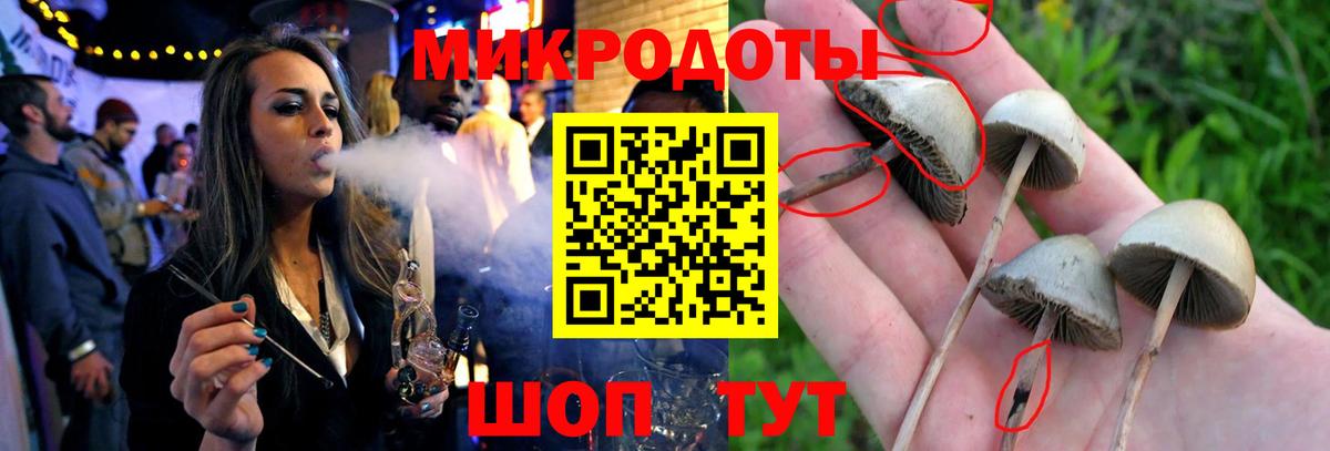 Орёл  Псилоцибиновые грибы Cubensis  Вход с VPN 